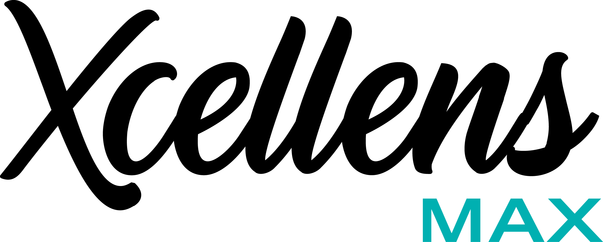 Logo Xcellens Max