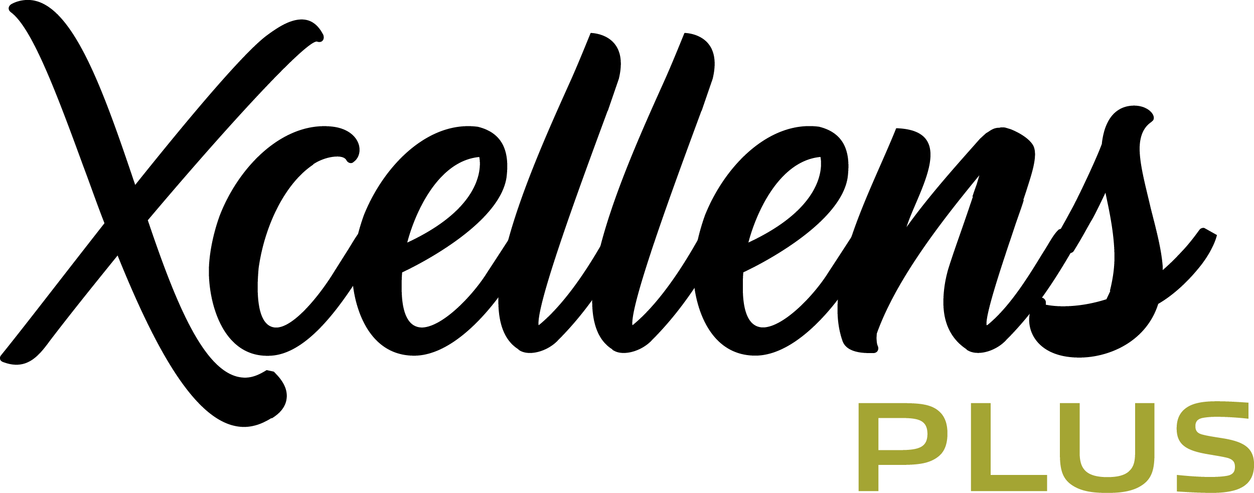 Logo Xcellens Plus
