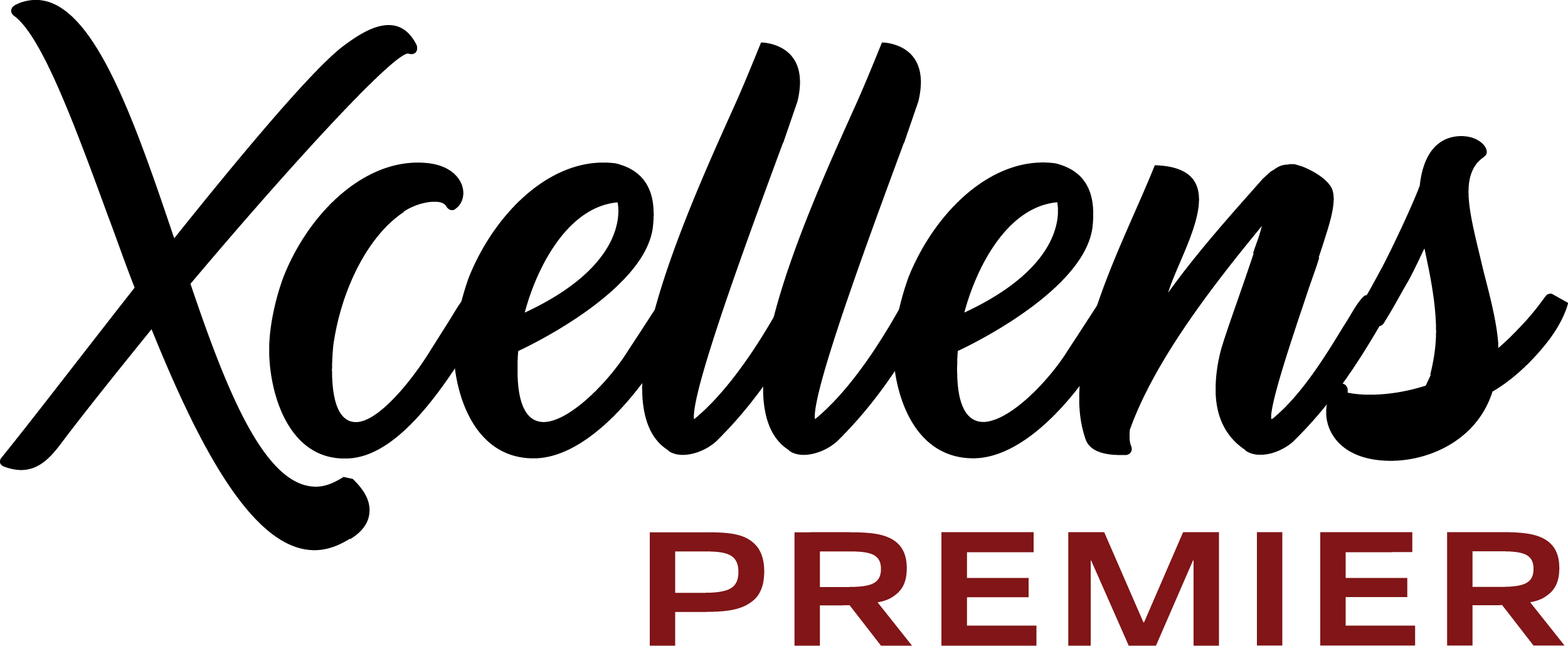 Logo Xcellens Premier