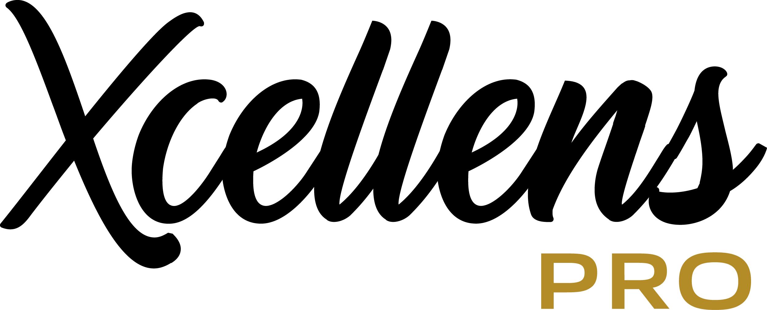 Logo Xcellens Pro